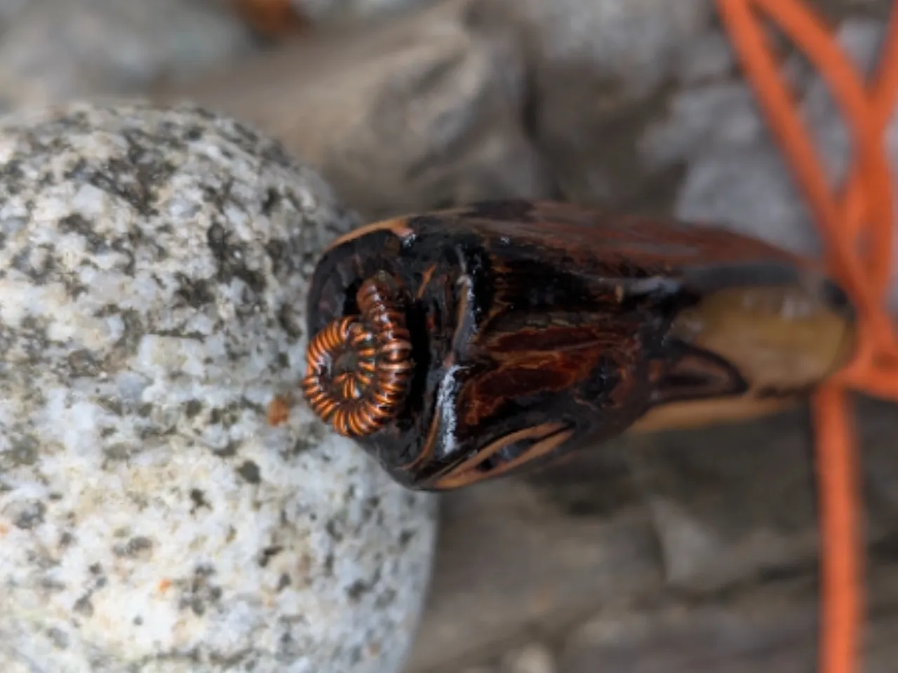 ZNAKI CZASU- wisiorek na rzemyku